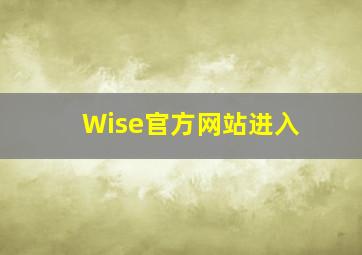 Wise官方网站进入