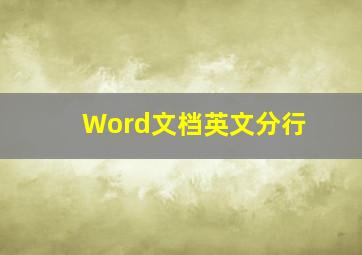 Word文档英文分行