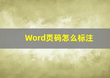 Word页码怎么标注