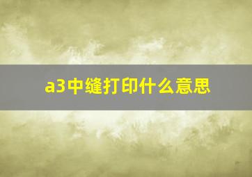 a3中缝打印什么意思