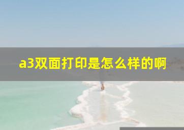 a3双面打印是怎么样的啊