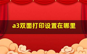 a3双面打印设置在哪里