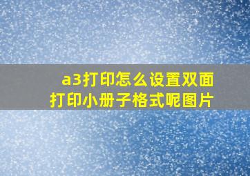 a3打印怎么设置双面打印小册子格式呢图片