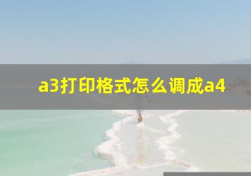 a3打印格式怎么调成a4