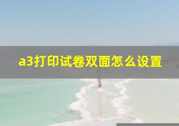 a3打印试卷双面怎么设置