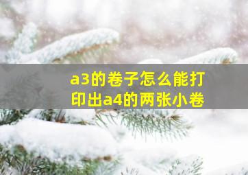 a3的卷子怎么能打印出a4的两张小卷