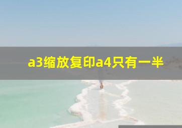 a3缩放复印a4只有一半