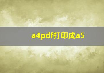 a4pdf打印成a5