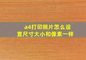 a4打印照片怎么设置尺寸大小和像素一样