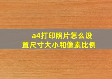 a4打印照片怎么设置尺寸大小和像素比例