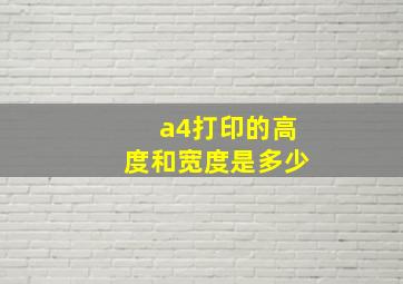 a4打印的高度和宽度是多少