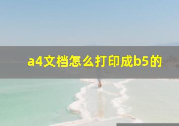 a4文档怎么打印成b5的