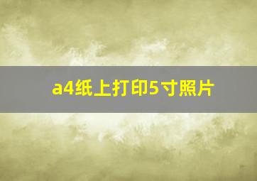 a4纸上打印5寸照片