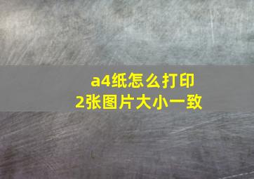 a4纸怎么打印2张图片大小一致