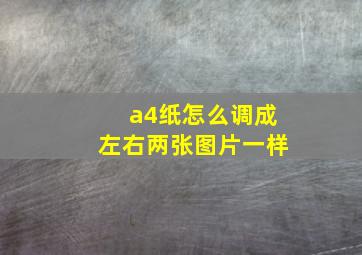 a4纸怎么调成左右两张图片一样