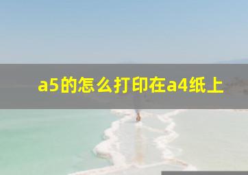 a5的怎么打印在a4纸上