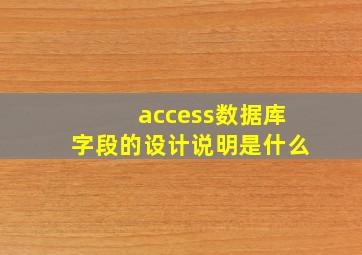 access数据库字段的设计说明是什么