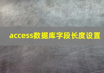 access数据库字段长度设置