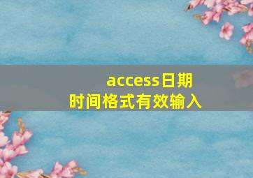 access日期时间格式有效输入