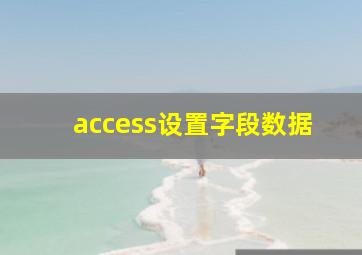 access设置字段数据