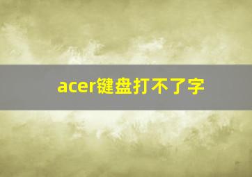 acer键盘打不了字