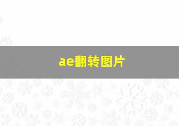 ae翻转图片