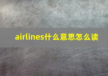 airlines什么意思怎么读