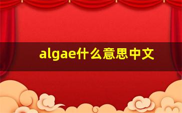 algae什么意思中文