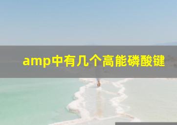 amp中有几个高能磷酸键