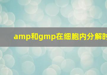 amp和gmp在细胞内分解时