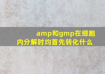 amp和gmp在细胞内分解时均首先转化什么