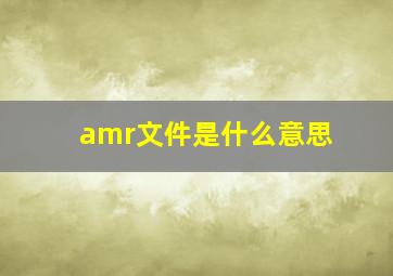 amr文件是什么意思