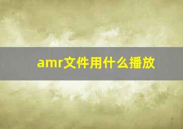 amr文件用什么播放