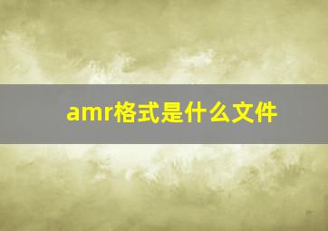 amr格式是什么文件