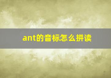 ant的音标怎么拼读