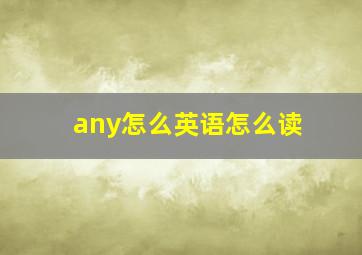 any怎么英语怎么读