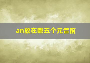 an放在哪五个元音前