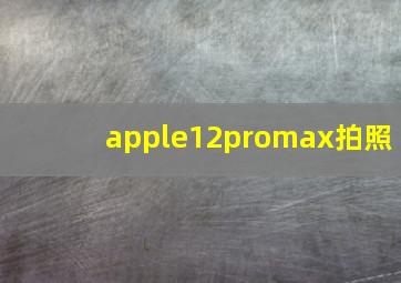 apple12promax拍照