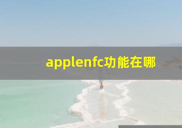 applenfc功能在哪