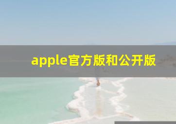 apple官方版和公开版