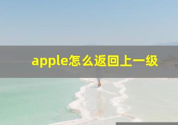 apple怎么返回上一级