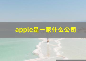 apple是一家什么公司