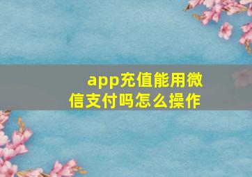 app充值能用微信支付吗怎么操作