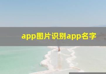 app图片识别app名字