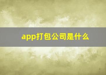 app打包公司是什么