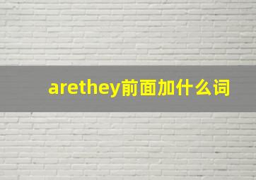 arethey前面加什么词