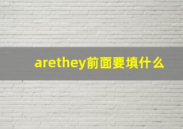 arethey前面要填什么