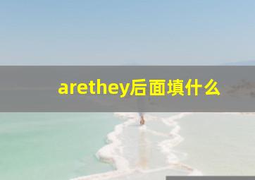 arethey后面填什么