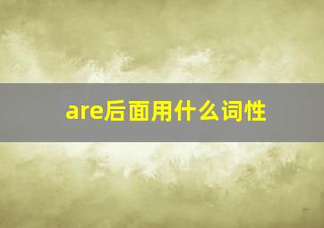 are后面用什么词性