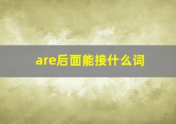 are后面能接什么词